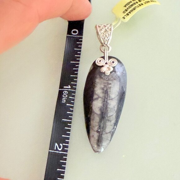 Fossilized Orthoceras Pendant With Intricate Silver Bail Handcrafted - Picture 5 of 5